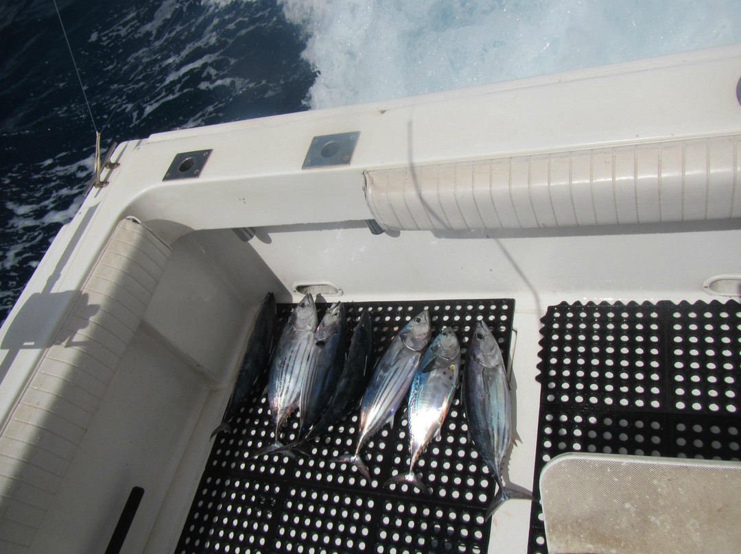 Na Pali Sportfishing-科卡哈必去景点
