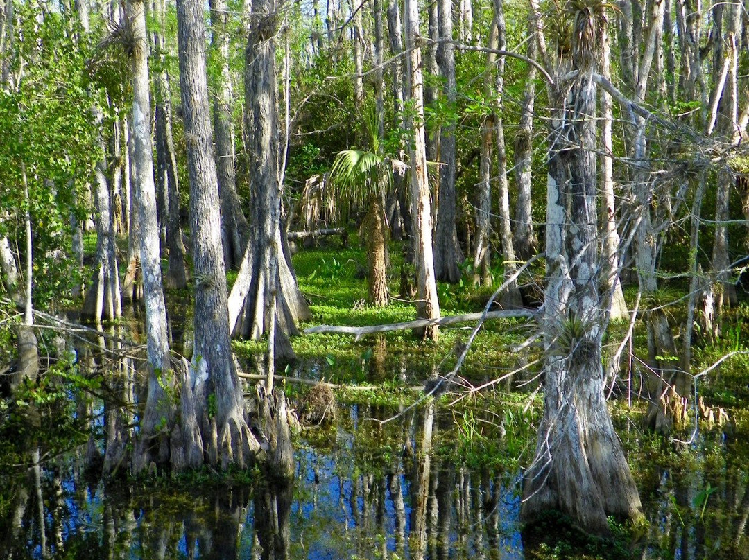 Loop Road-奥乔皮必去景点