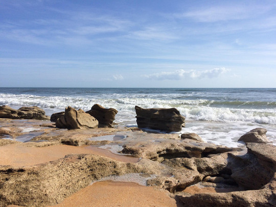 Marineland旅游景点-River to Sea Trail Preserve