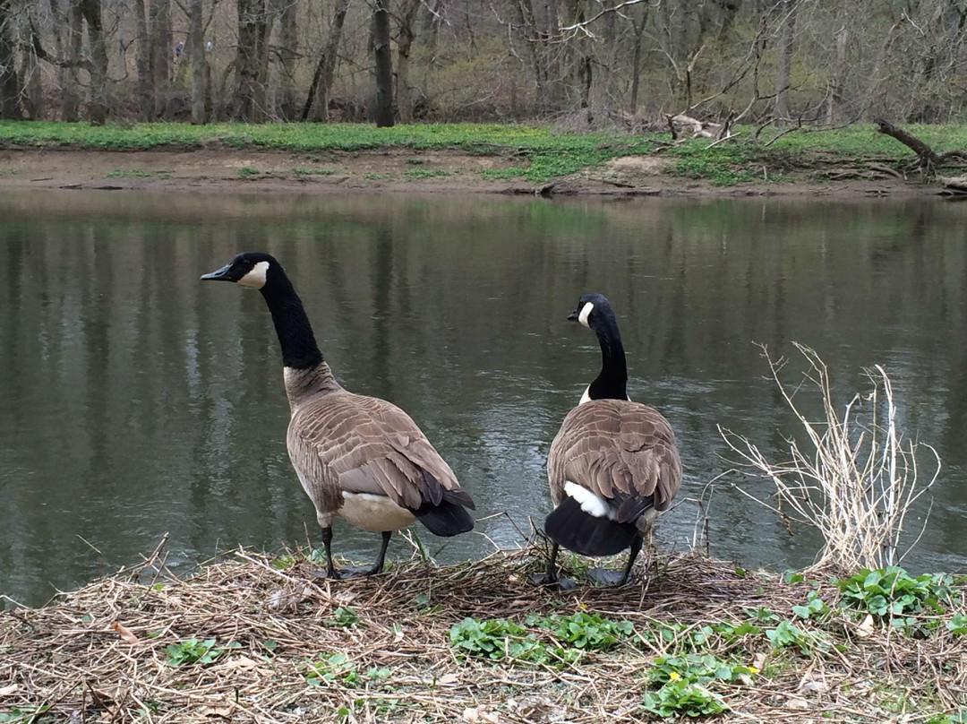 Brandywine Creek State Park