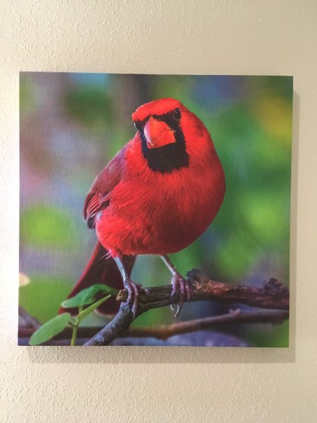 布卢明顿拉昆塔温德姆套房酒店-浴室