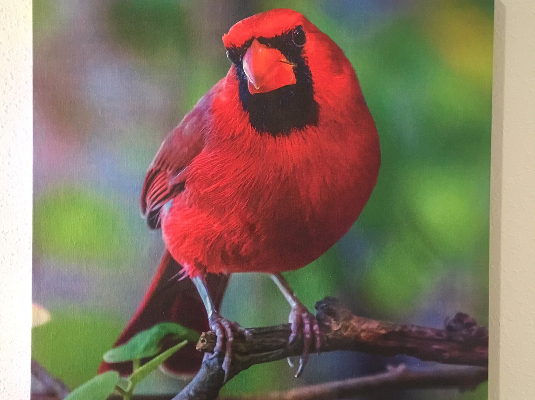 La Quinta Inn & Suites by Wyndham Bloomington主图