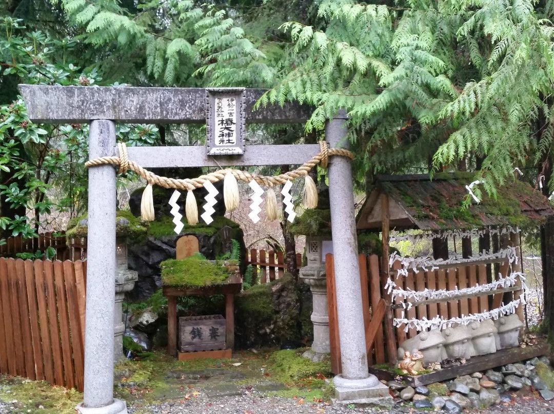 Tsubaki Grand Shrine of America景点图片