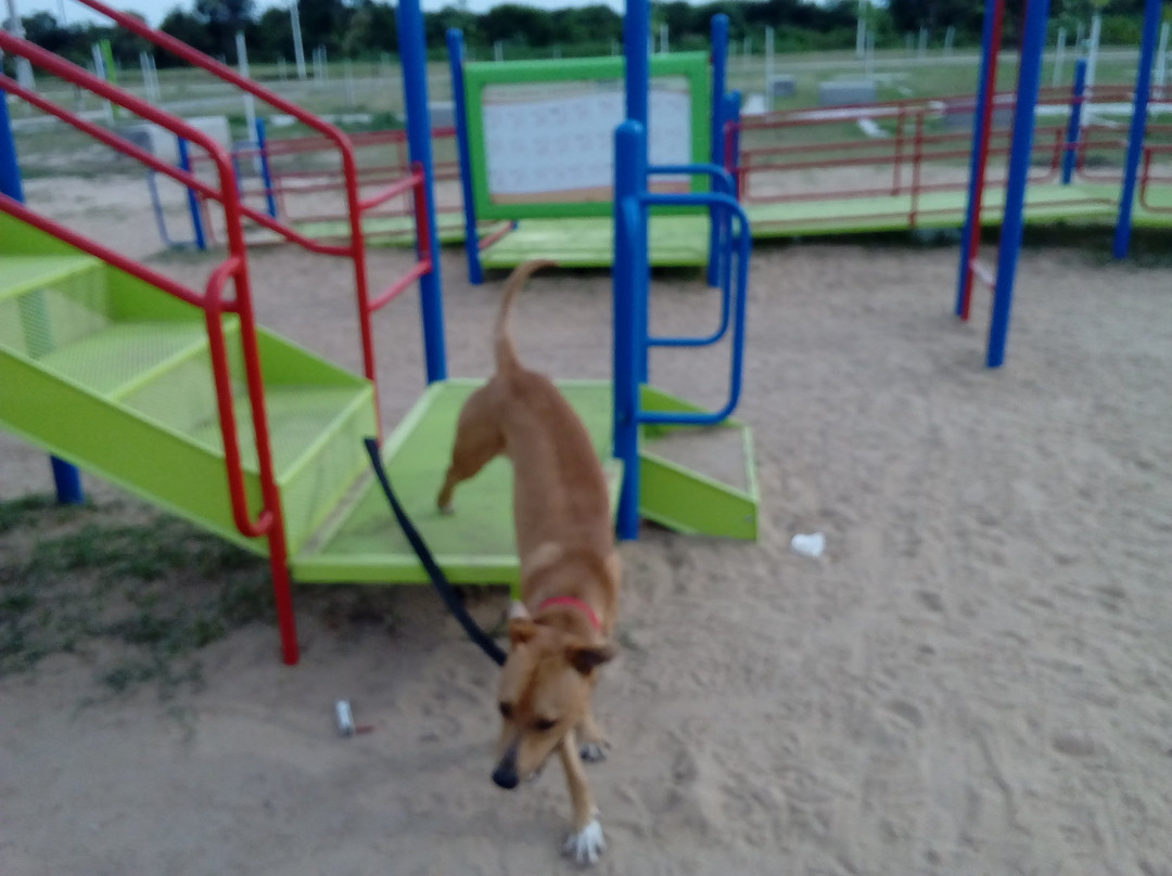 Parque De La Democracia-雷西斯滕西亚必去景点