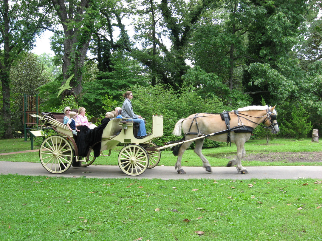 Carriage Tours of Memphis景点图片