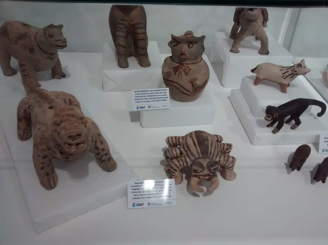 Museo Americanista景点图片