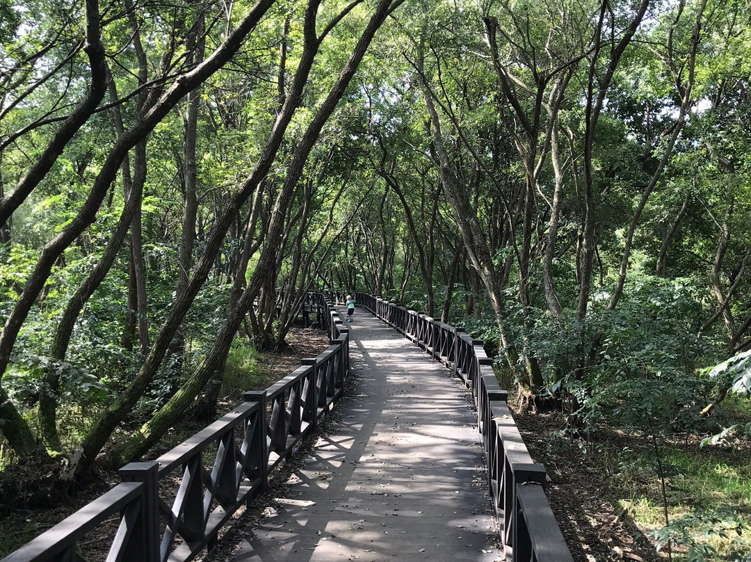 Gwangjuho Lake Eco Park-光州必去景点