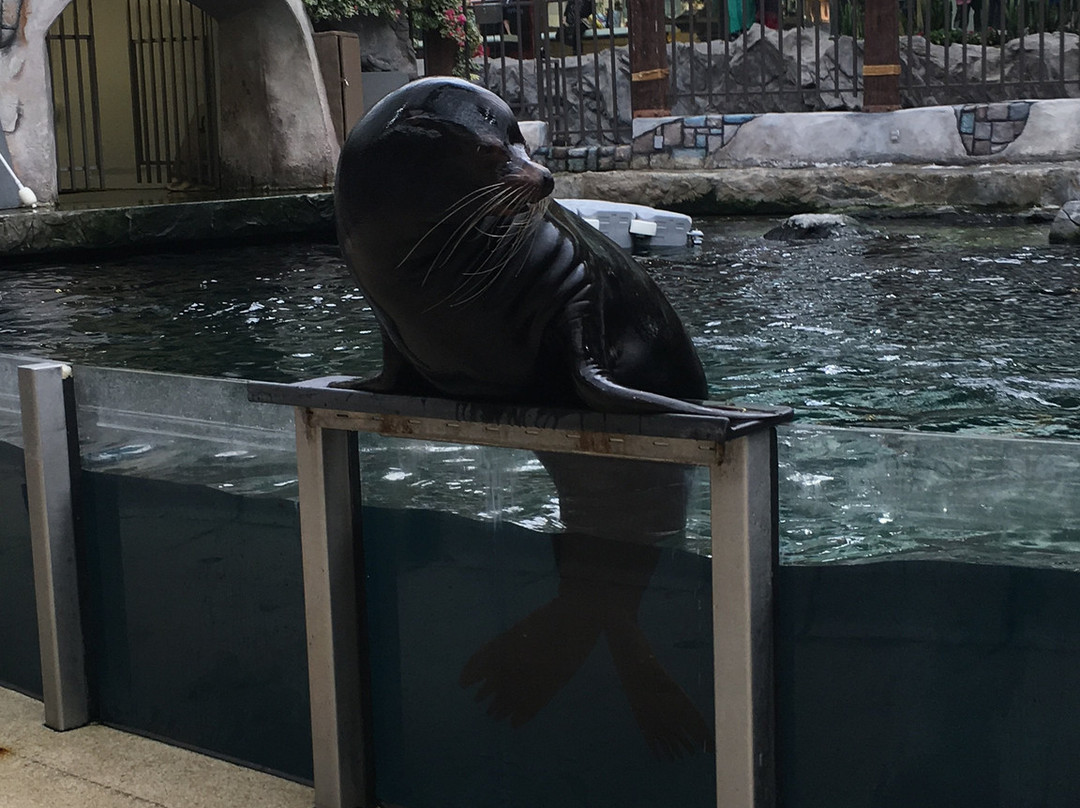 西埃德蒙顿购物中心-埃德蒙顿必去景点