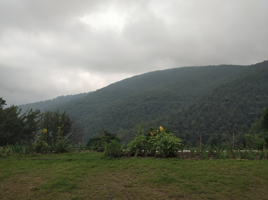 Fernhill Resorts Chail主图