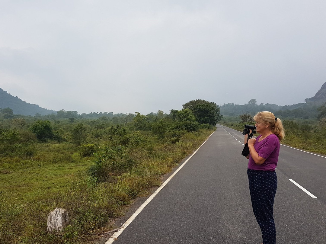 Maduru Oya National Park景点图片