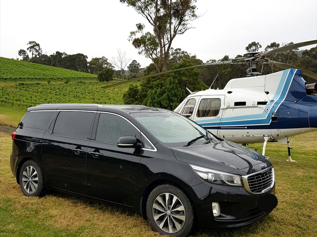 Yarra Valley Private Winery Tours-亚拉河谷必去景点