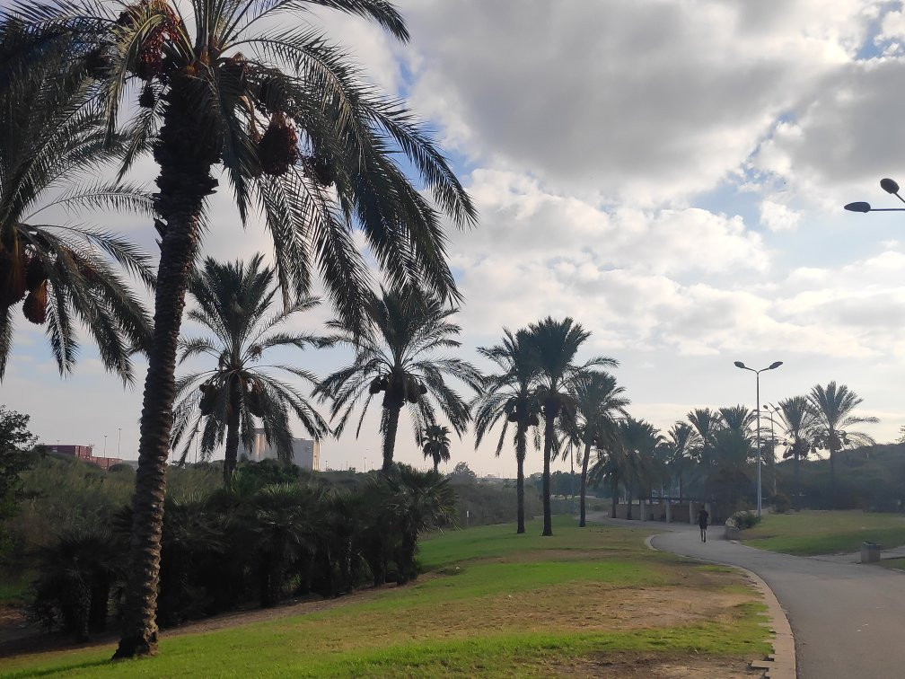 Etgarim Lakhish Park-阿什杜德必去景点