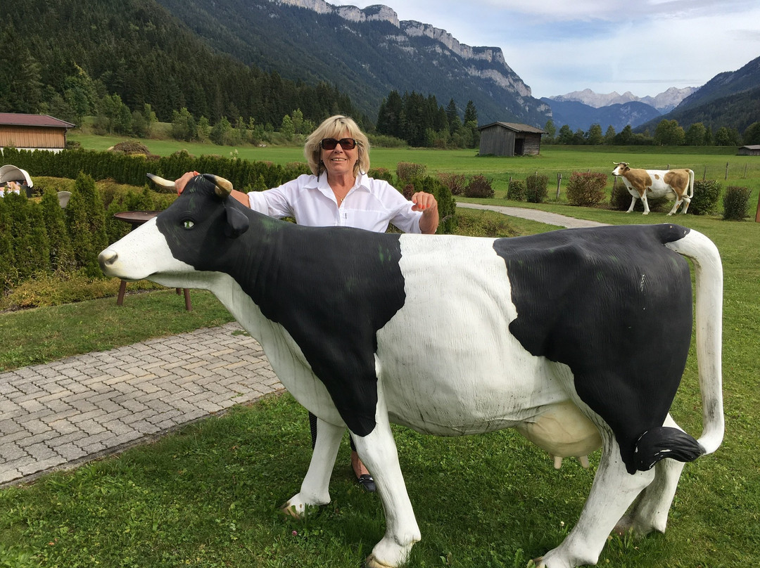 Elaya Hotel Steinplatte主图