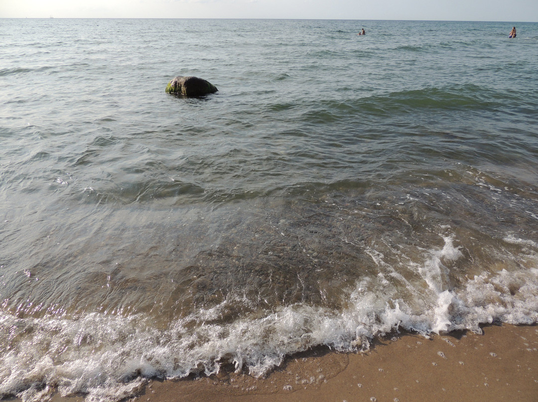 Ostsee-Strand Von Rerik景点图片