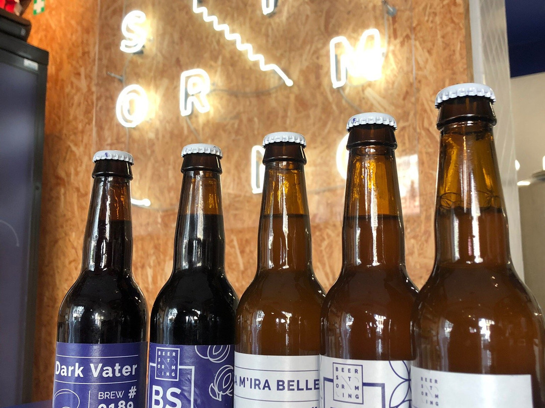 Beerstorming-布鲁塞尔必去景点