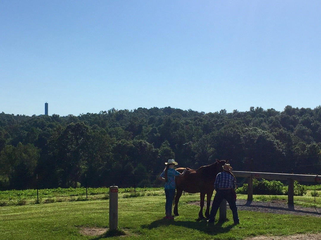 Double J stables & Campgrounds景点图片