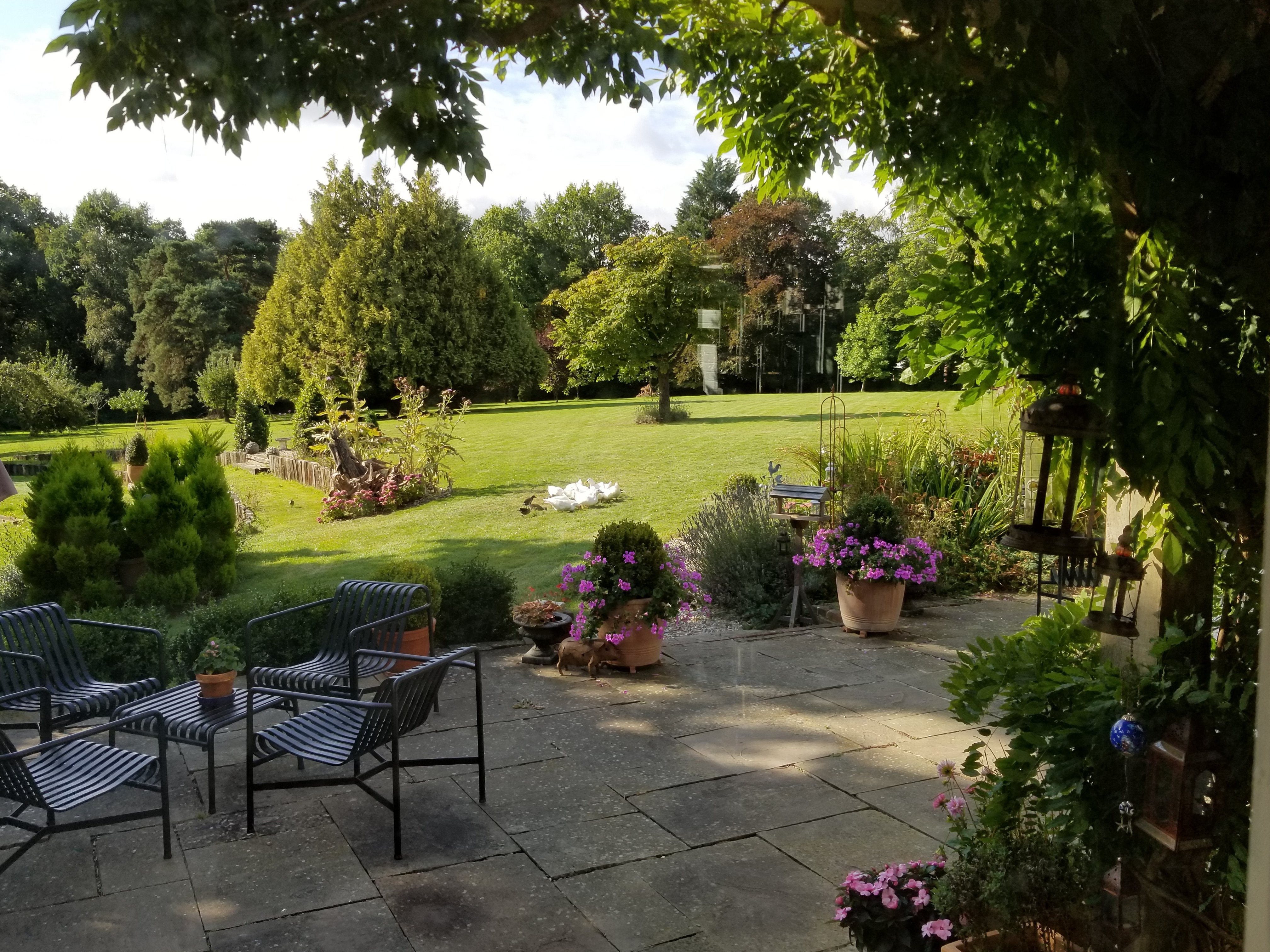 Shoyswell Cottage B&B-酒店景观