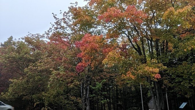 City Tour of Historic Saint John - Saint John Transit-圣约翰必去景点