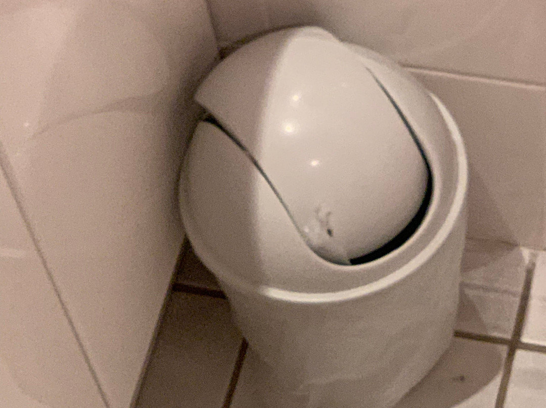 博米树酒店主图