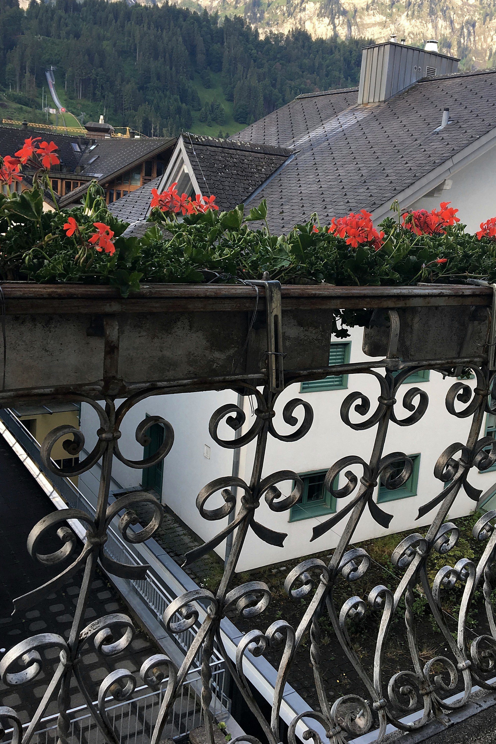 Hotel Engelberg-酒店景观