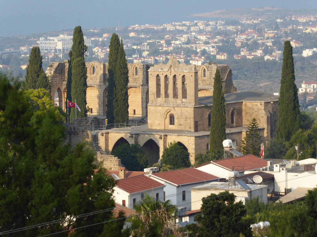 Ambelia Village主图