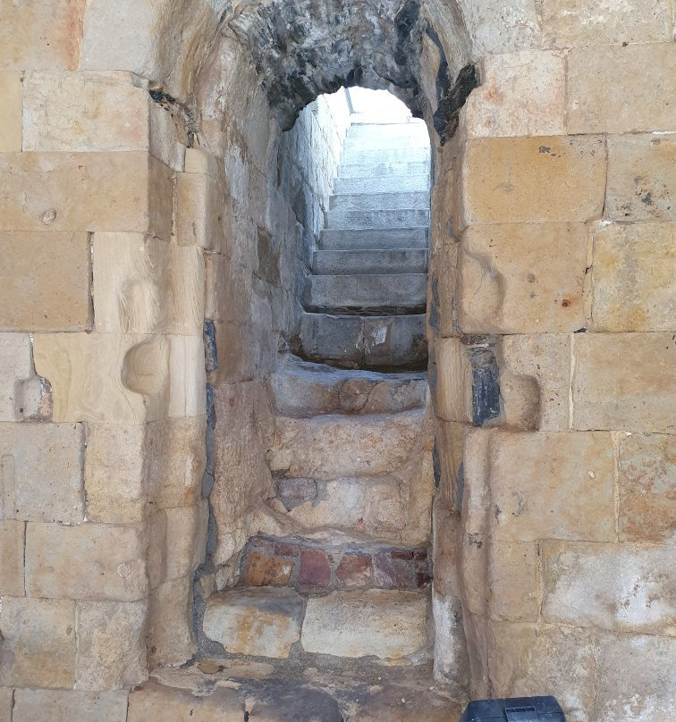 Cueva de Salamanca-萨拉曼卡必去景点