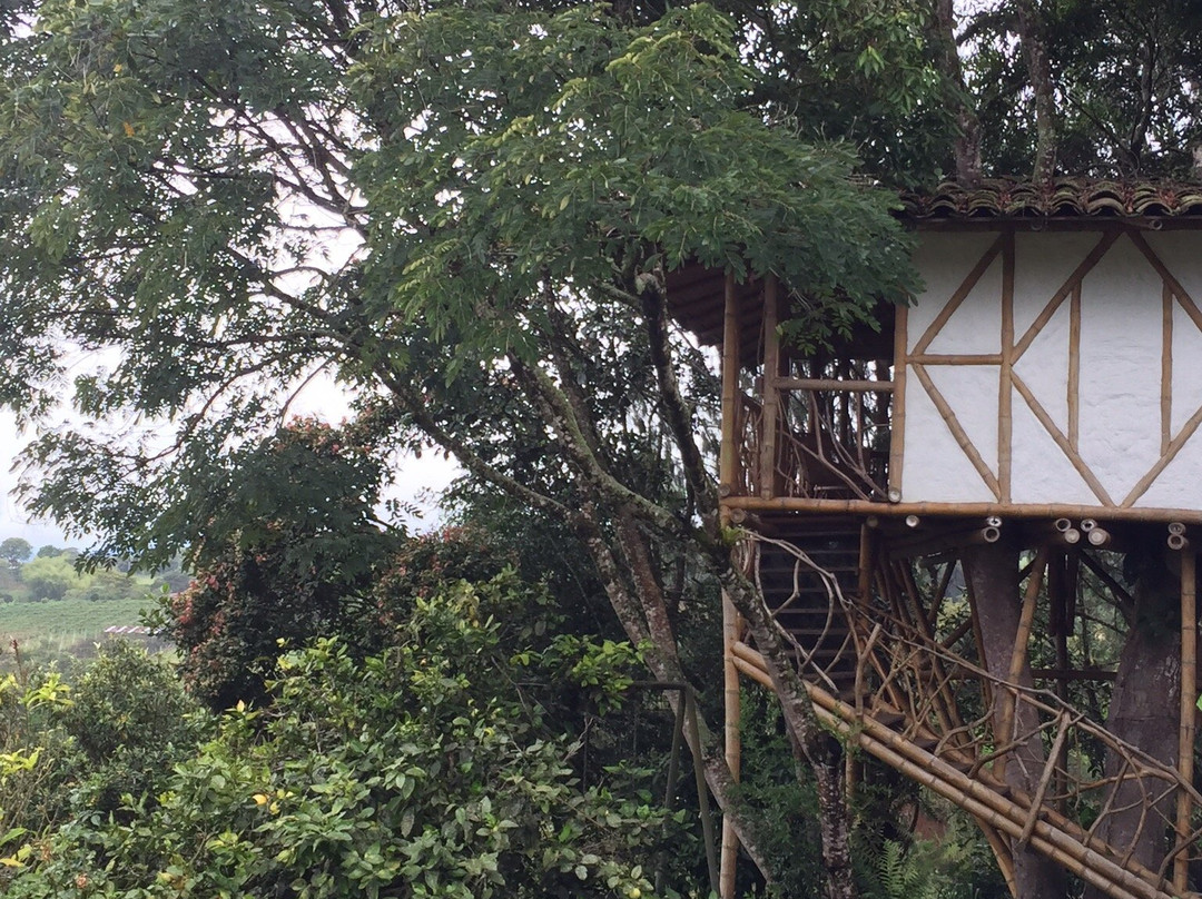 Finca El Cielo主图