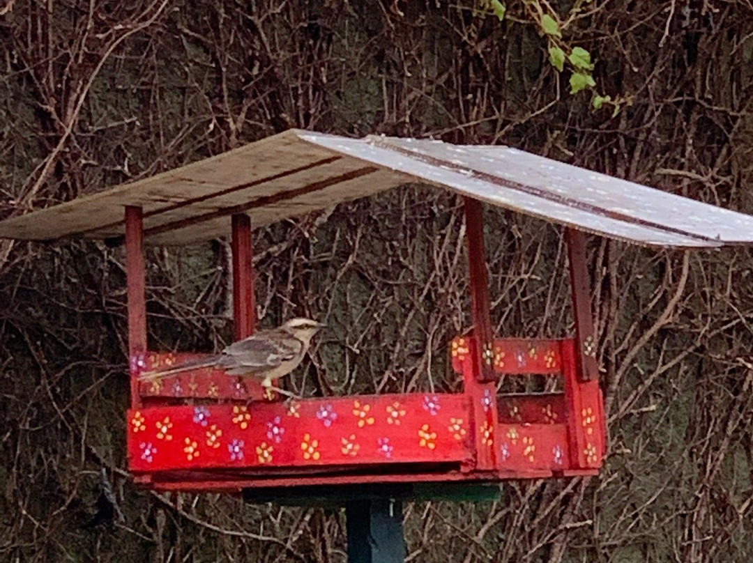 Hospedaria Vila Khepri主图