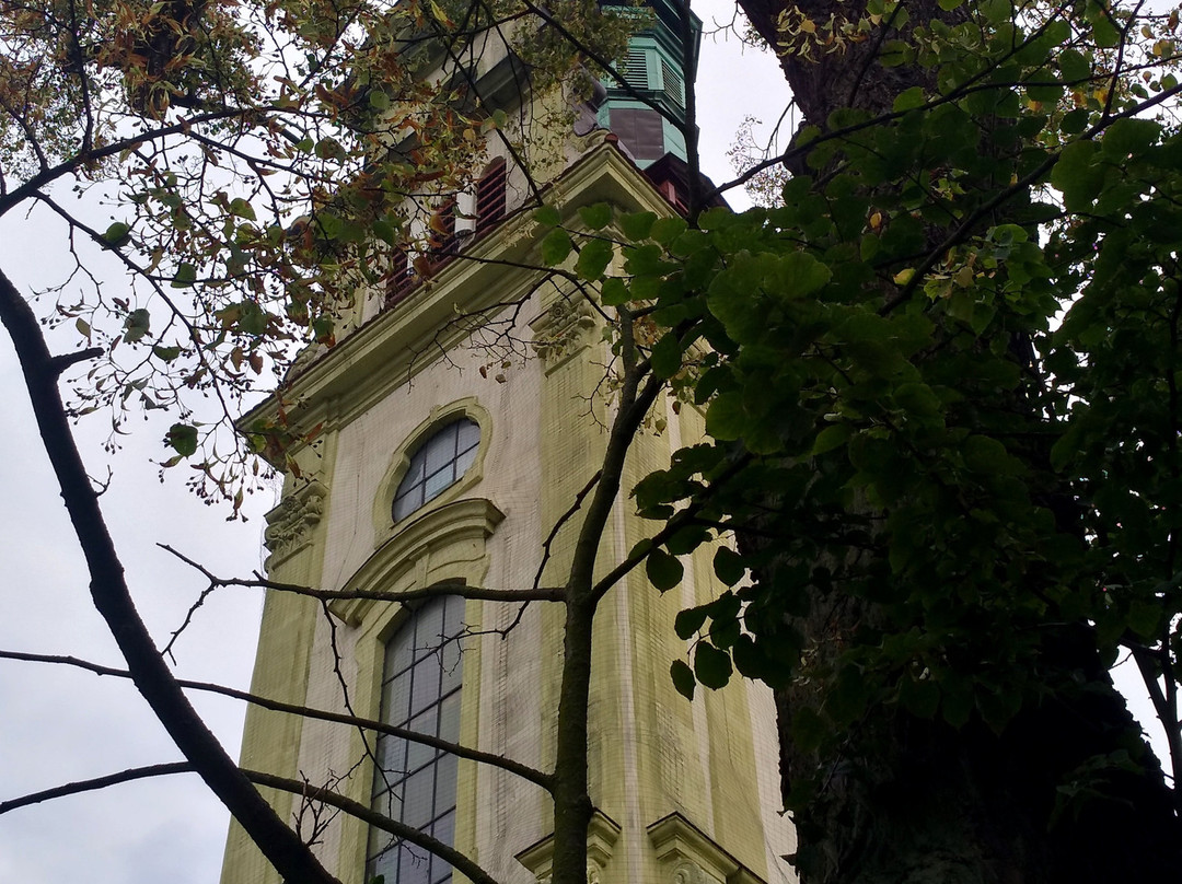 Kościół Zbawiciela景点图片
