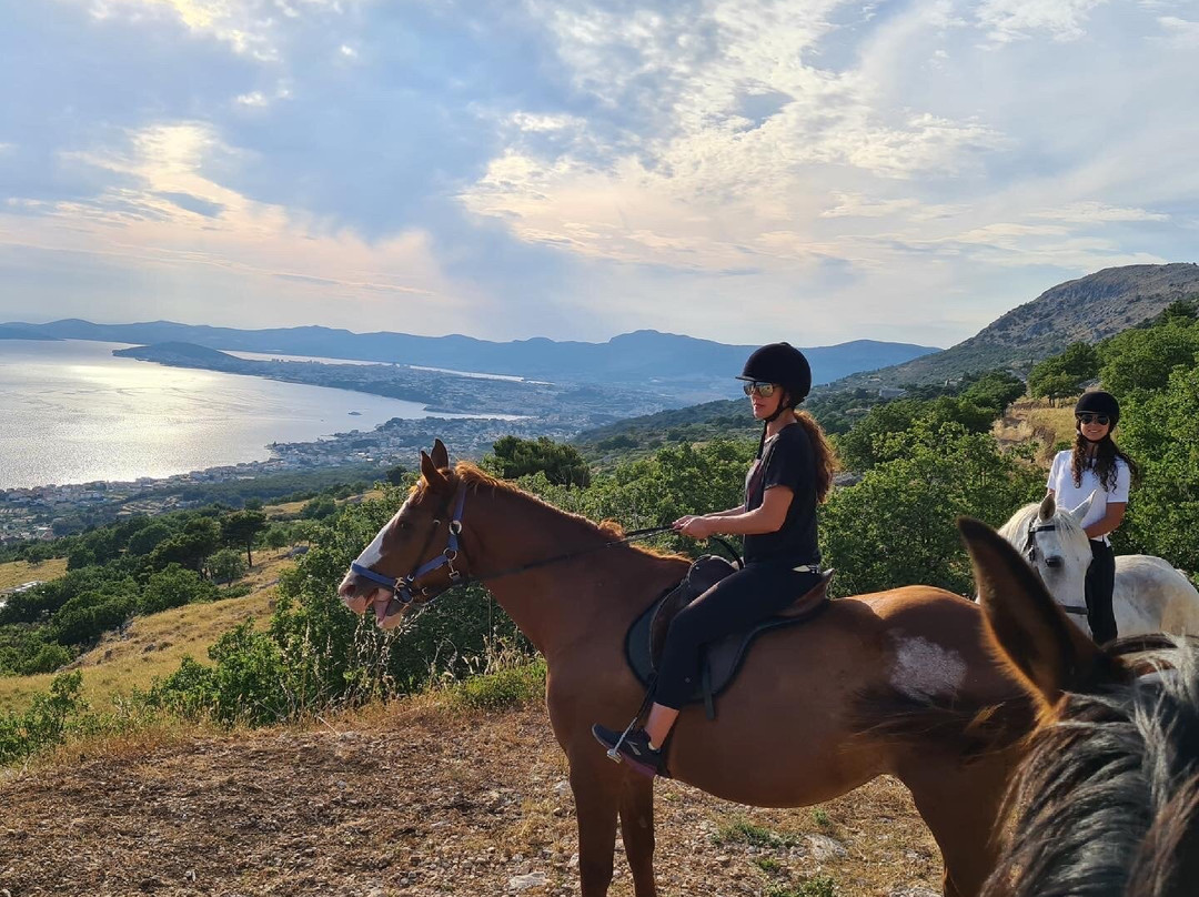 Horseback Riding Podstrana-斯普利特必去景点