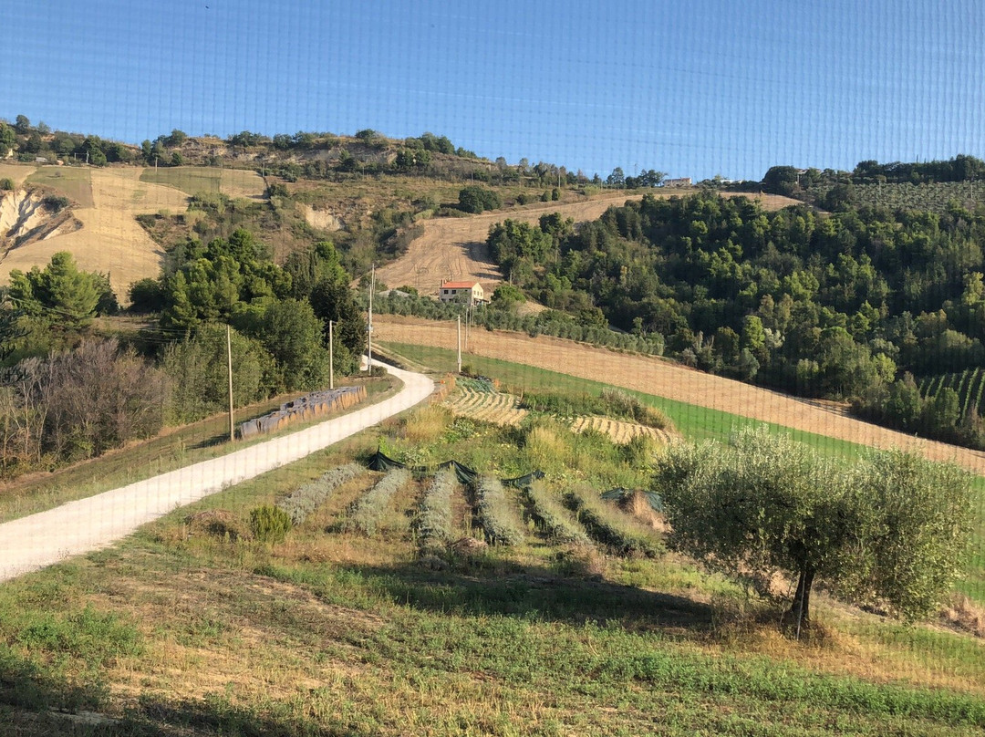 Agriturismo La Campana主图