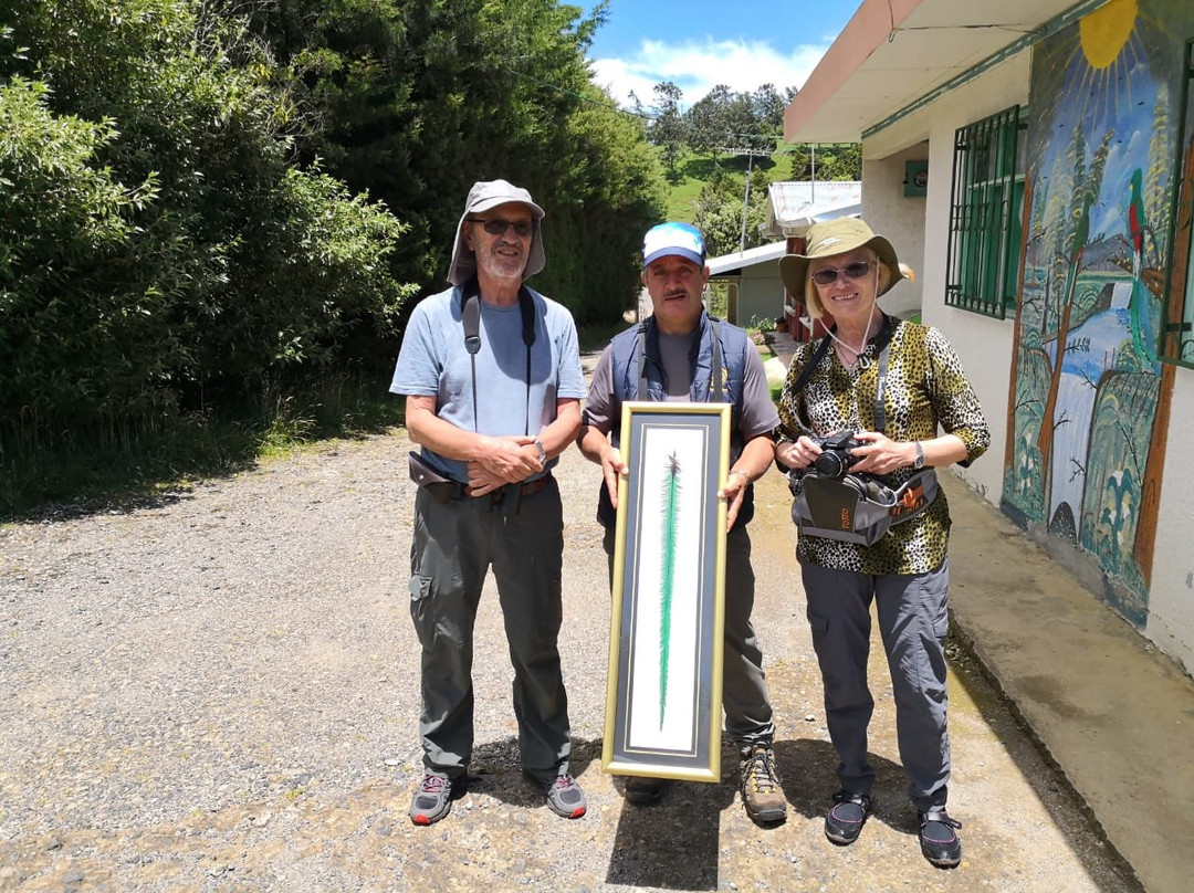 Costa Rica Itinerary景点图片