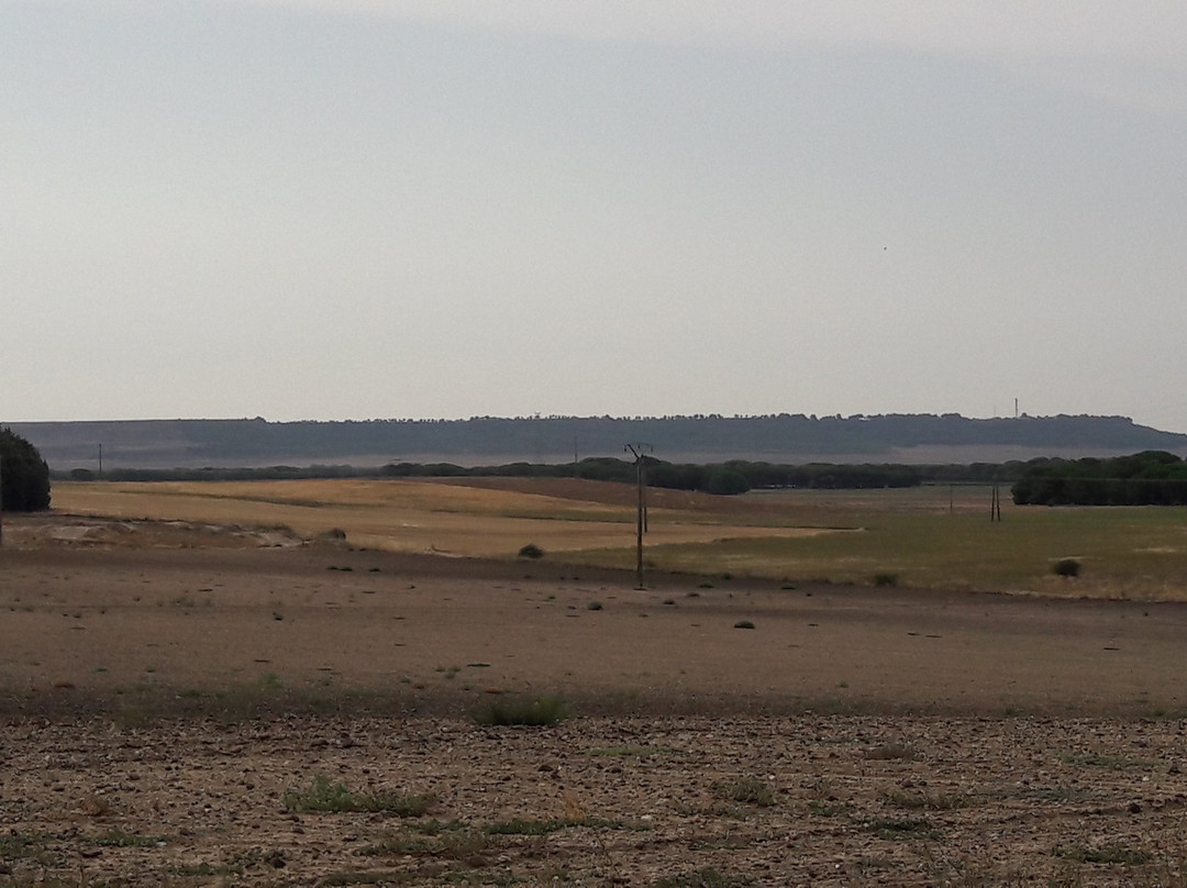 Ayuntameinto de Alcazarén-洛斯阿尔卡萨雷斯必去景点