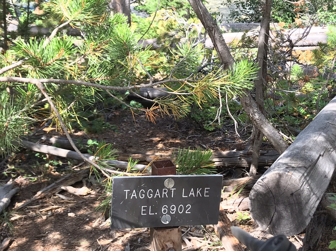 Taggart Lake景点图片
