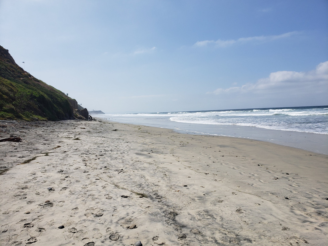Beacon's Beach-恩西尼塔斯必去景点