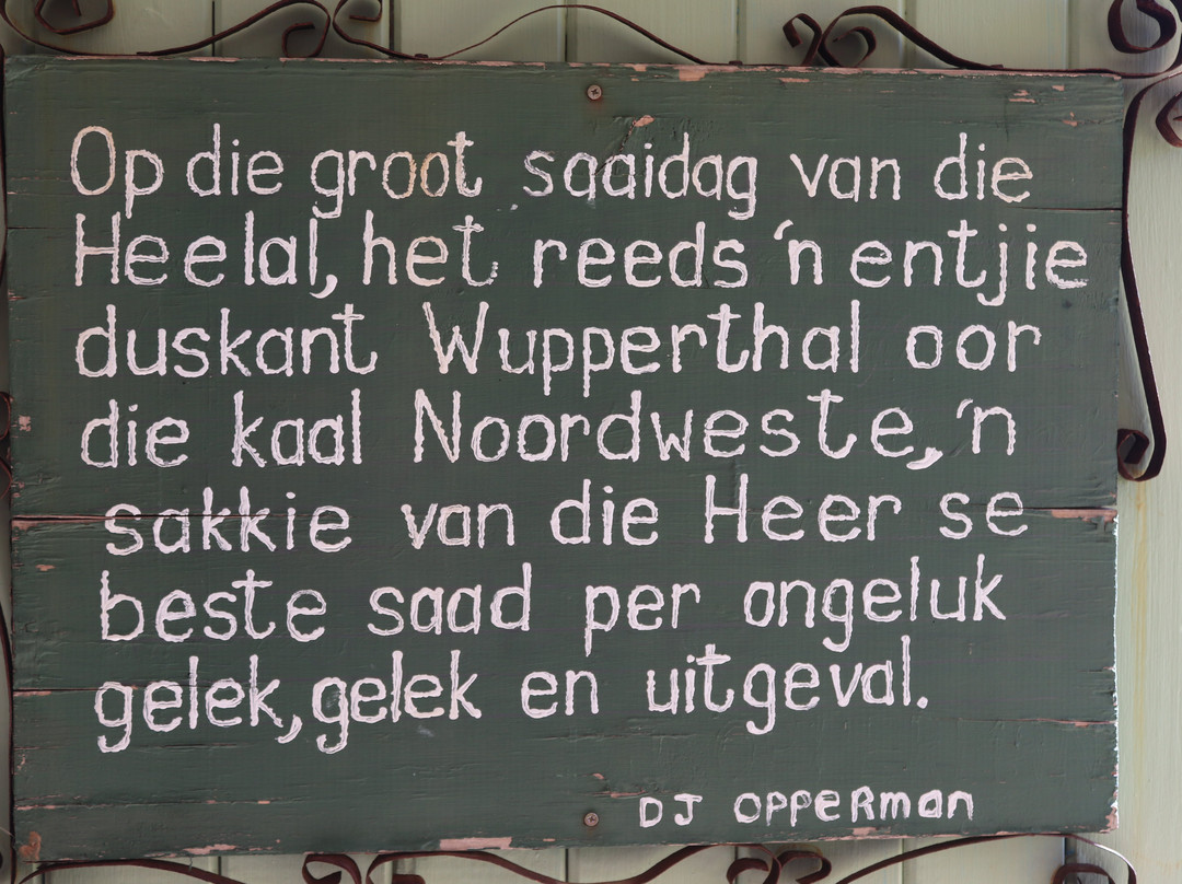 Kokerboom Kwekery Nursery-Vanrhynsdorp必去景点