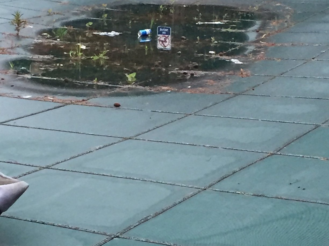 Comfort Inn Cleveland Airport主图