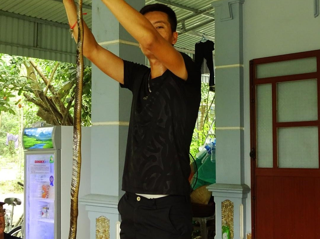 Sunlight Cruise-河内必去景点