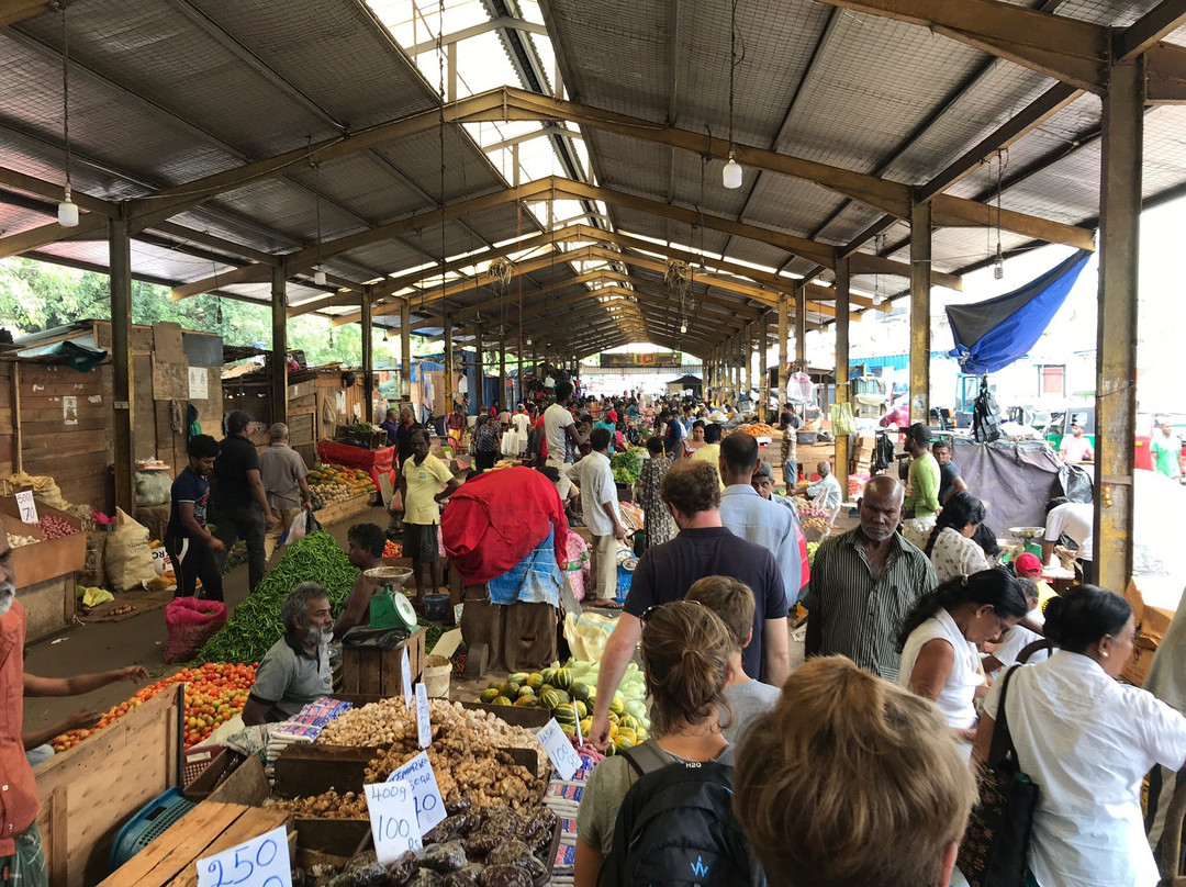 Tuk It Easy Colombo-科伦坡必去景点