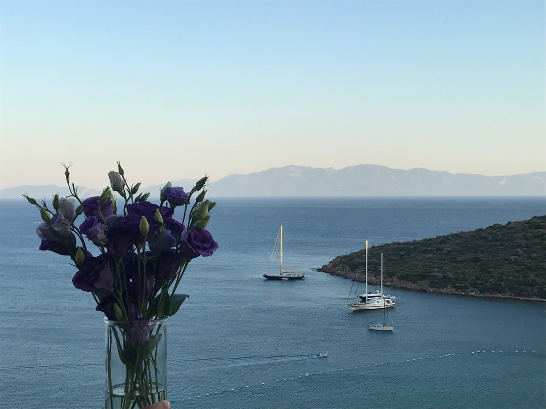 Kempinski Hotel Barbaros Bay Bodrum主图