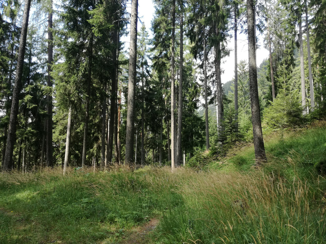 Vivea Hotel Bad Bleiberg主图