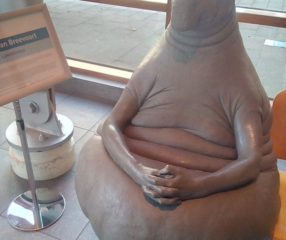 Homunculus Loxodontus景点图片