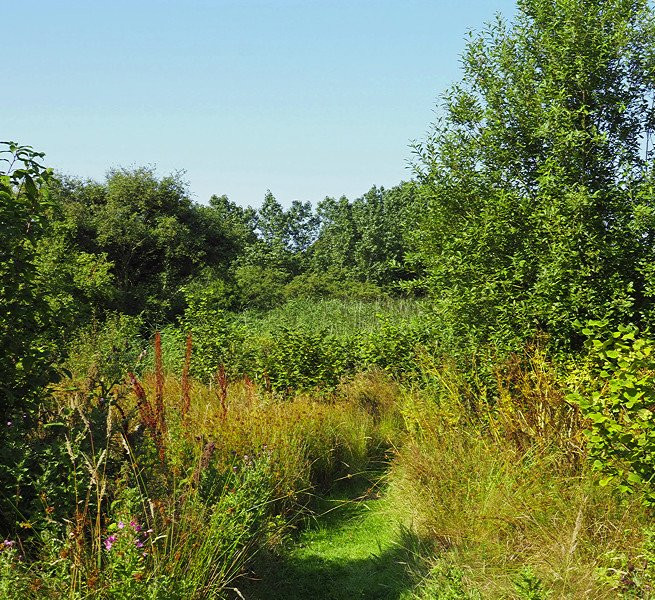 Ballachurry Nature Reserve-Port Erin必去景点