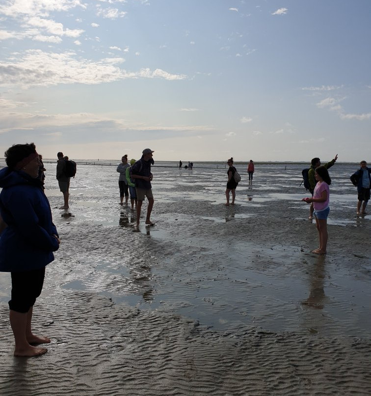 Schutzstation Wattenmeer - Nationalpark-Haus景点图片