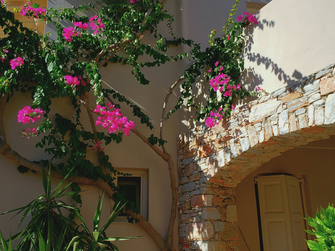 Ventoura Studios & Apartments主图