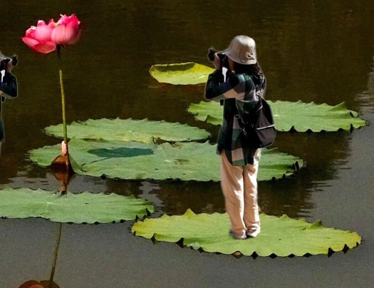 盈香生态园-佛山市必去景点