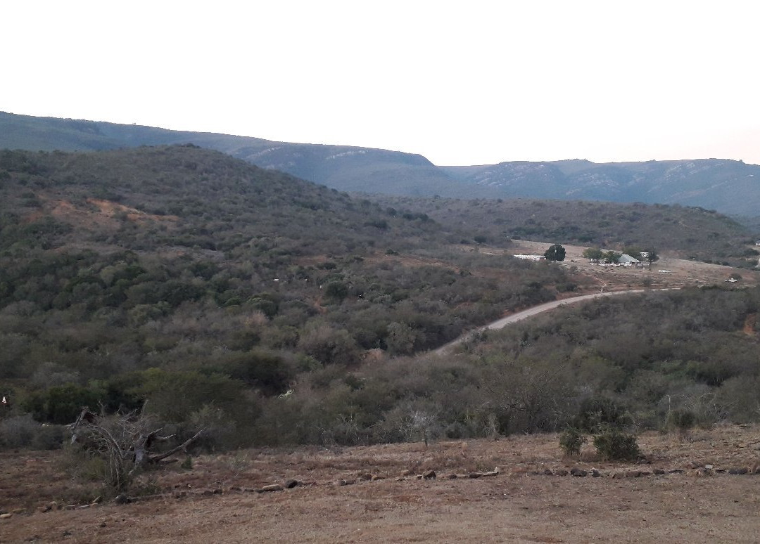 Addo Bush Palace Private Reserve主图