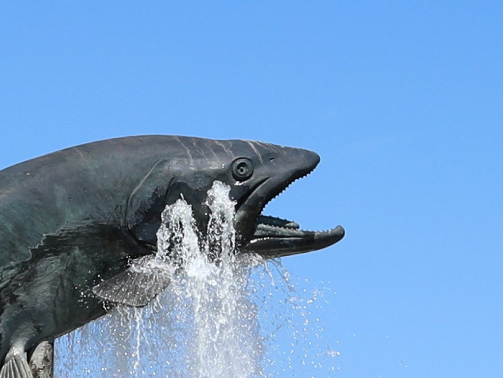 Fontaine de la truite à Ornans-Ornans必去景点