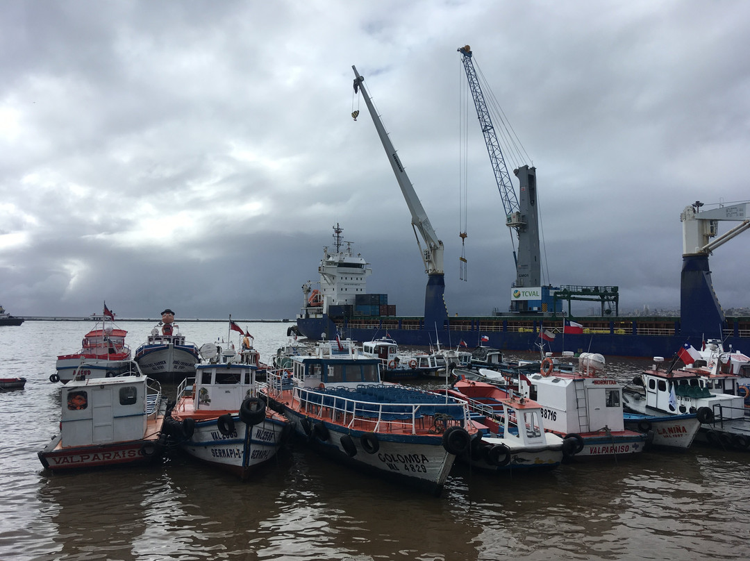 Muelle Prat-瓦尔帕莱索必去景点