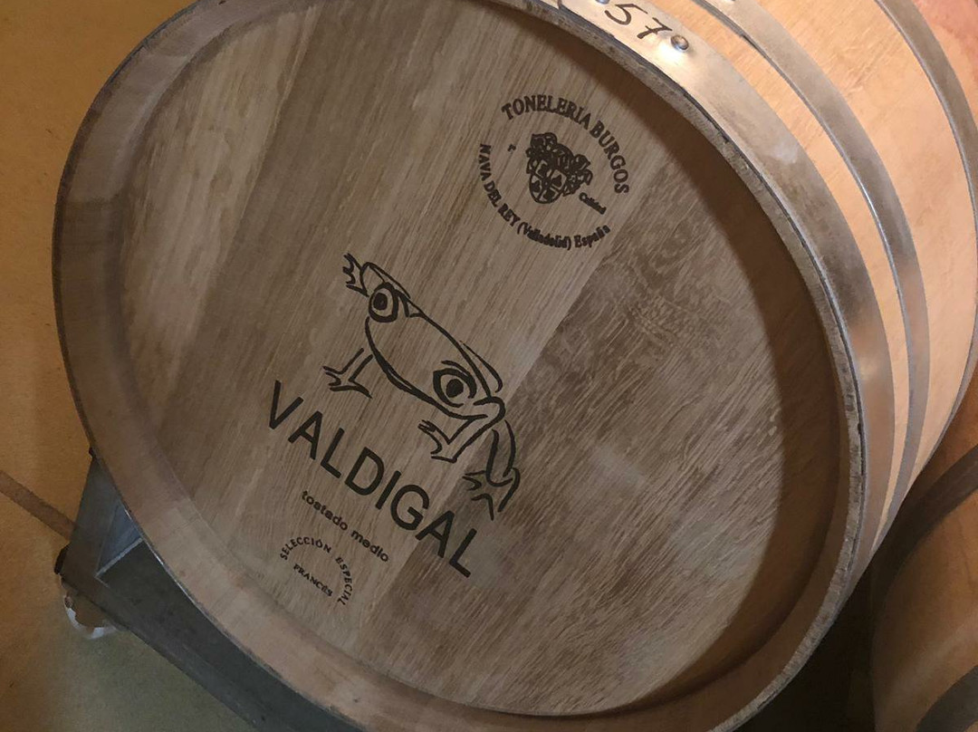 Bodega Valdigal-Toro必去景点